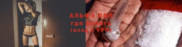 тгк Бородино