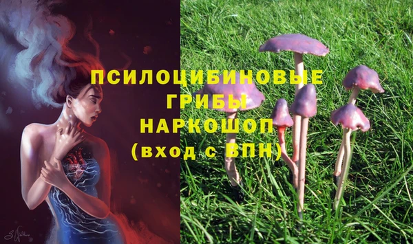соль курить ск Бугульма