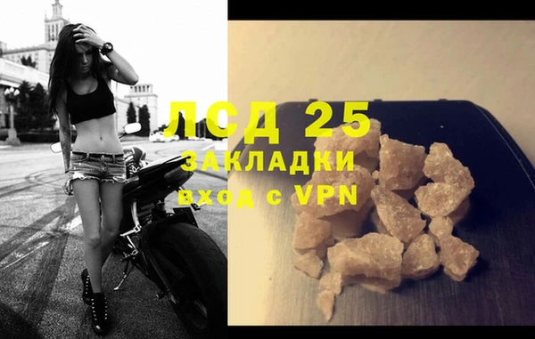 тгк Бородино