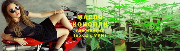 тгк Бородино