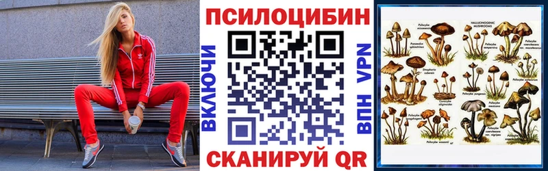 Псилоцибиновые грибы Psilocybine cubensis  мега вход  Ижевск 
